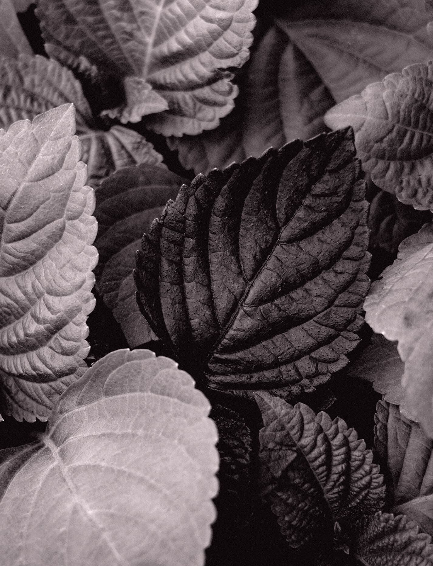 Abstract image